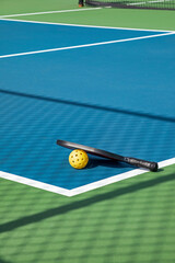 Pickleball Court with Paddle and Ball