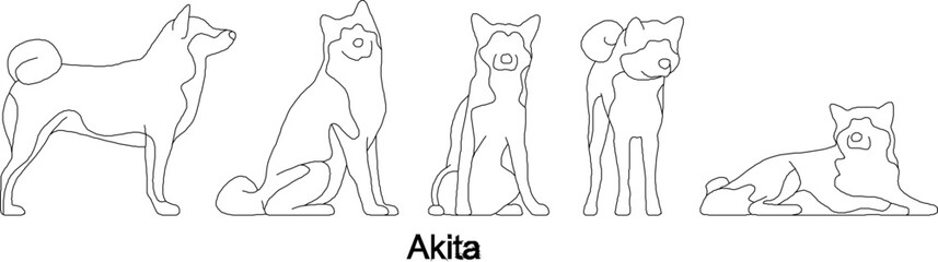 sketch vector illustration of a collection of Akita dogs