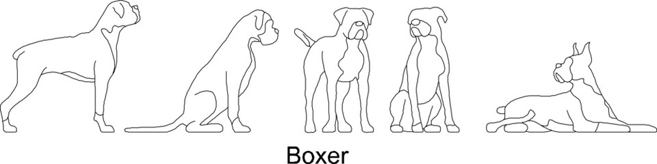 sketch vector illustration of a collection of Boxer dogs