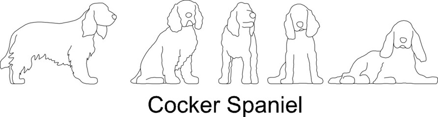 sketch vector illustration of a collection of Cocker Spaniel dogs