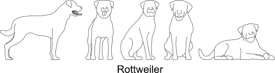 sketch vector illustration of a collection of rottweiler dogs