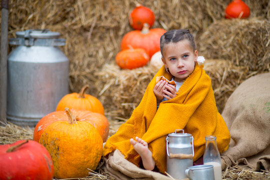 A cute baby girl with bare feet wrapped in an orange cloth eats a cinnamon bun with milk sitting on a burlap against the background of straw bales with pumpkins and a can