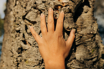 Crop woman touching sunlit tree