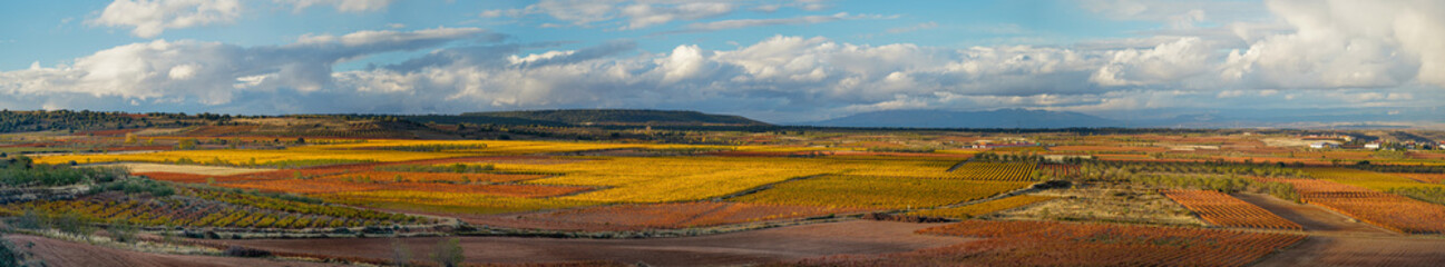 panoramica, view, sunset of vineyards in autumn, Spain La Rioja.