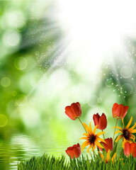 beautiful flowers on abstract blurred green background