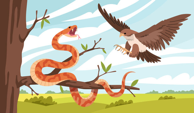 Cartoon snake nature. Eagle attacks snake on tree branch, natural habitat, suitable living conditions, venomous reptile, isolated flat characters, tropical wildlife tidy vector concept