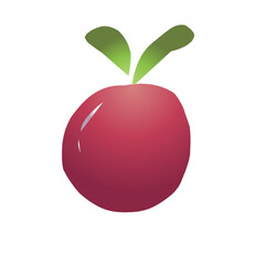 red apple isolated on white