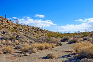 Californian desert - Anza-Borrego. Anza-Borrego Desert State Park, Southern California, USA.