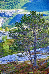 The countryside of Nordland - Norway. Countryside in Nordland, close to the city of Bodo, Norway.