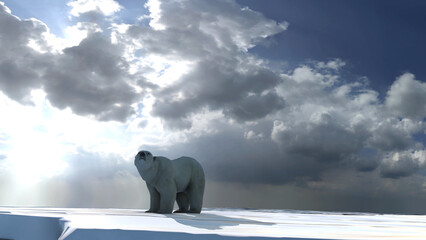 Polar bear wondering on small ice chunk, clouds and rays 
Polar bear in extinction concept, north pole, global warming, 2023
