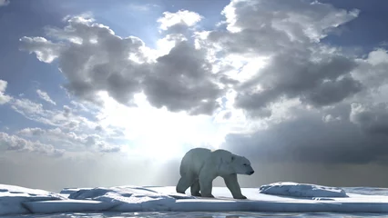 Fotobehang Ijsbeer Polar bear wondering on small ice chunk, clouds and rays  Polar bear in extinction concept, north pole, global warming, 2023   © ImageBank4U