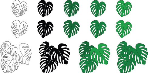 Monstera Plant Leaf Clipart Set - Outline, Silhouette and Color © ATerra