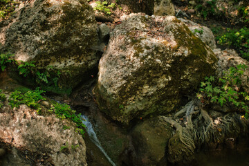 Naklejka na ściany i meble small stream in a valley with trees and large stones