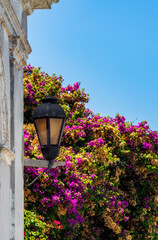 Street light or lantern with red flowers on stone wall in Colonia del Sacramento Uruguay