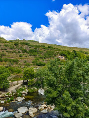 River in nature