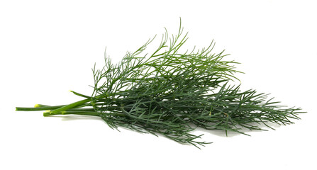 Bunch of fresh dill isolated on white background. Greens ingredient for dishes.