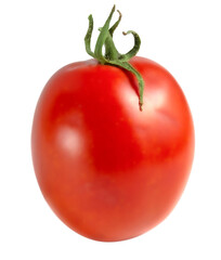 One oblong tomato isolated on white background.