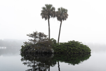 Foggy morning at Lake Eola Park in downtown Orlando.