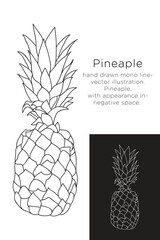 hand drawn monoline vector illustration.
pineaple.
with appearance in negative space.