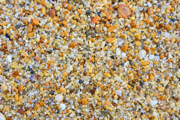 Plenty of colorful pebbles on the seashore.