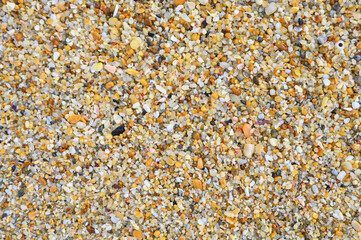 Plenty of colorful pebbles on the seashore.