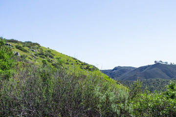 Fototapeta premium Vast mountain landscape nature plants