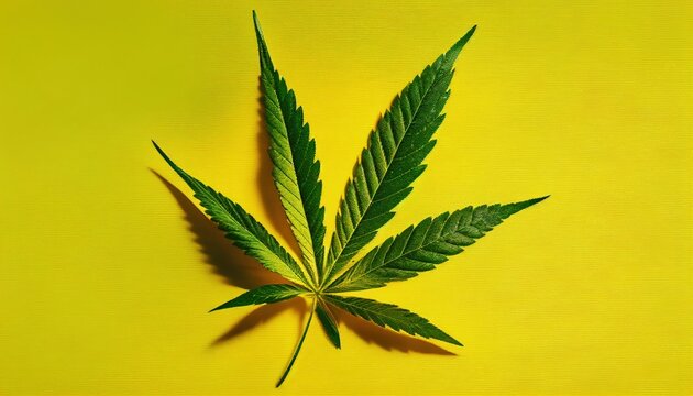 Cannabis leaf on a yellow background with a hard shadow. Generative AI.