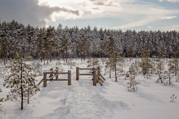 Nature trail in forest with a lot of snow in Kangari in March in Latvia