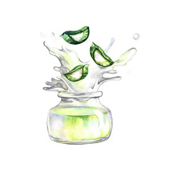 Aloe vera. Chopped pieces and aloe juice. Watercolor painted by hand. For labels and packaging of cosmetology, perfumery