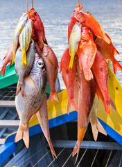 Poissons frais de la pêche côtière, île de la Réunion 