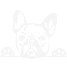 French bulldog | Kawaii | Pastel colors | PNG file | Transparant | No background | Cute design 