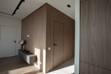 Door in a corridor, Wood wall