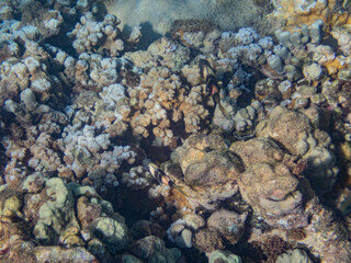 Fototapeta premium Maui, Hawaii