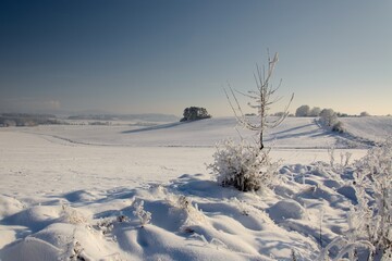 Obraz premium Winter snow-covered South Bohemian landscape