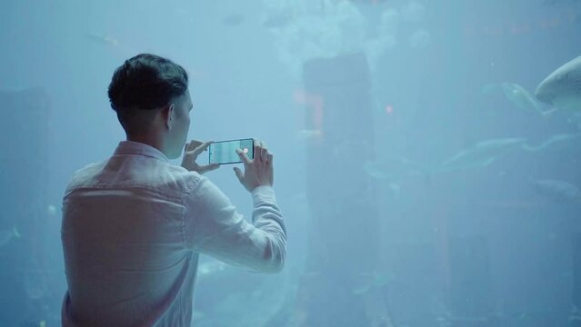 a young man watches fish in a large aquarium in which a beautiful stingray swims