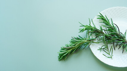Leaves and branches of rosemary in a white plate on a light green background. Light green background. Copy space
