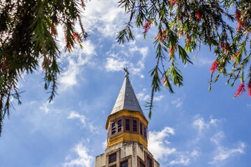 O topo da Catedral Metropolitana de Goiânia entre galhos floridos com céu azul ao fundo.