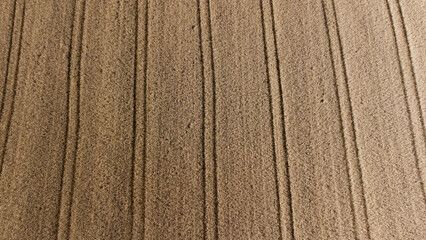 Culture de blé avec des sillons de tracteurs visibles depuis le ciel.
