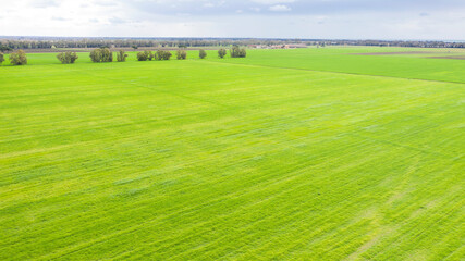 Aerial view of a large green field