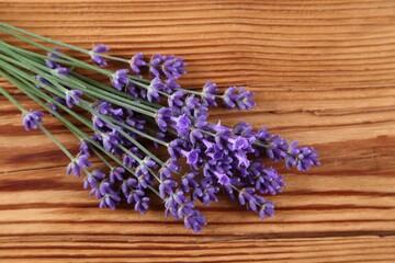 Lavender. - 578462357
