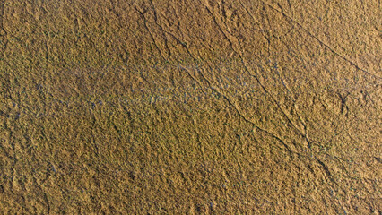 Texture d'herbe en période hivernale. Champ d'herbe composé de traces vu du ciel.