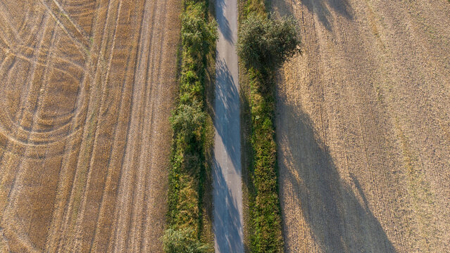 Petite route de campagne qui traverse des champs. Route vue verticalement avec des abords naturel et v&eacute;g&eacute;tal.