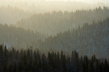 Foggy winter  sunrise, snowy forest at Northern Ural mountains
