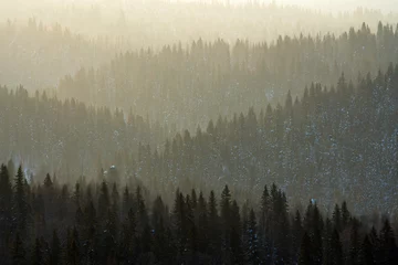 Crédence en verre imprimé Forêt dans le brouillard Foggy winter  sunrise, snowy forest at Northern Ural mountains