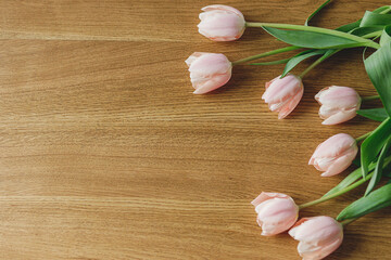 Beautiful tulips flat lay on wooden table with space for text. Modern easter decor. Stylish pink tulips bouquet. Happy mothers day and womens day