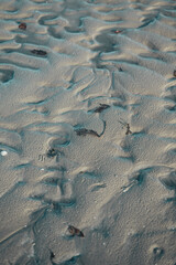 traces on sand
