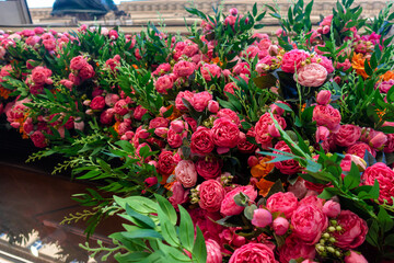 Red rosebuds on the bushes