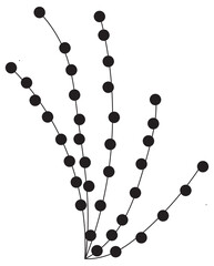 Line drawing with a branch of seeds