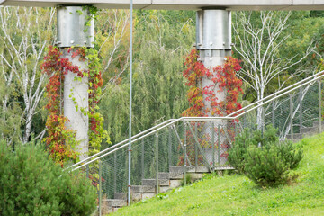 system in the garden