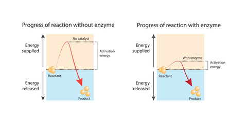 Progress of reaction